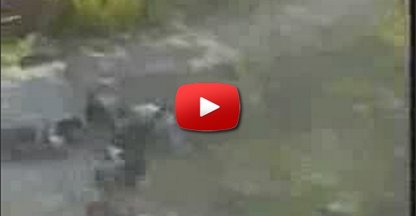Acidente em rally